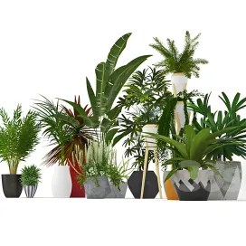 Plants collection